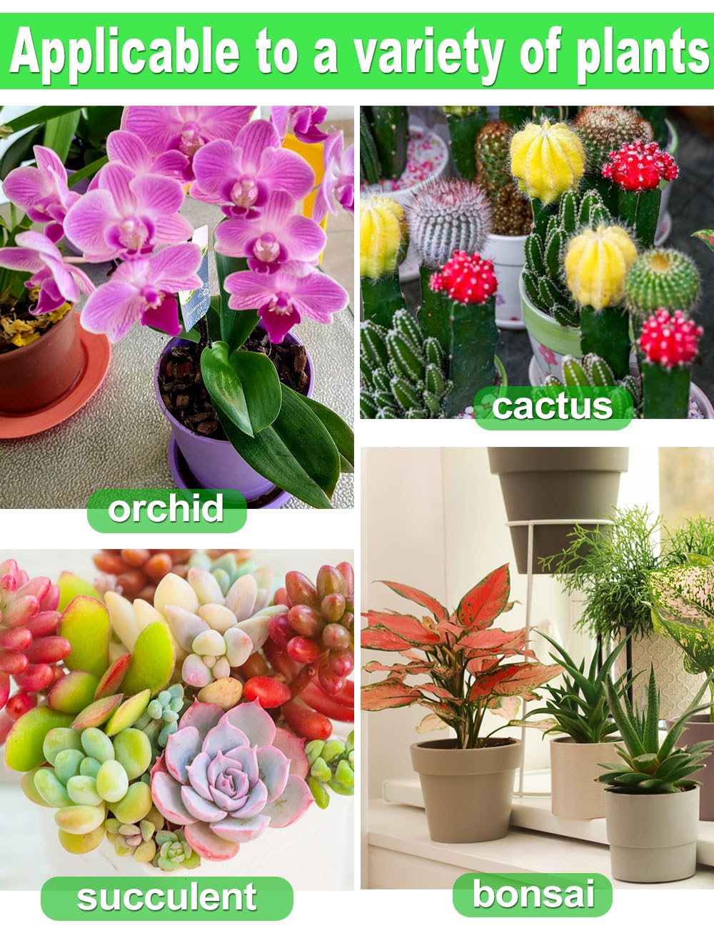 TOYPOPOR packaging highlights quality orchid soil for home growers.