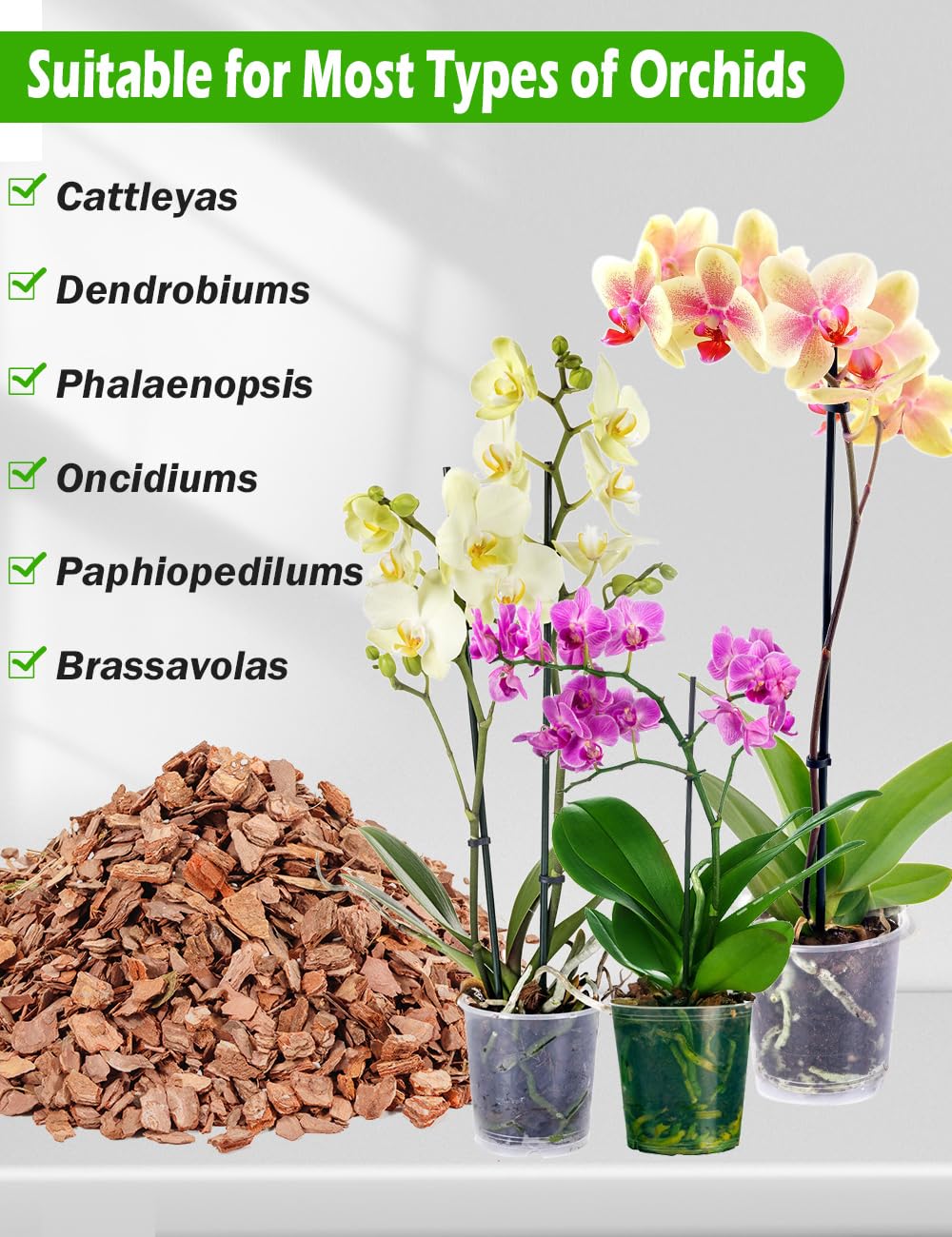 TOYPOPOR pine bark wood chips create a natural, breathable orchid medium.