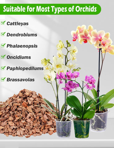 TOYPOPOR pine bark wood chips create a natural, breathable orchid medium.