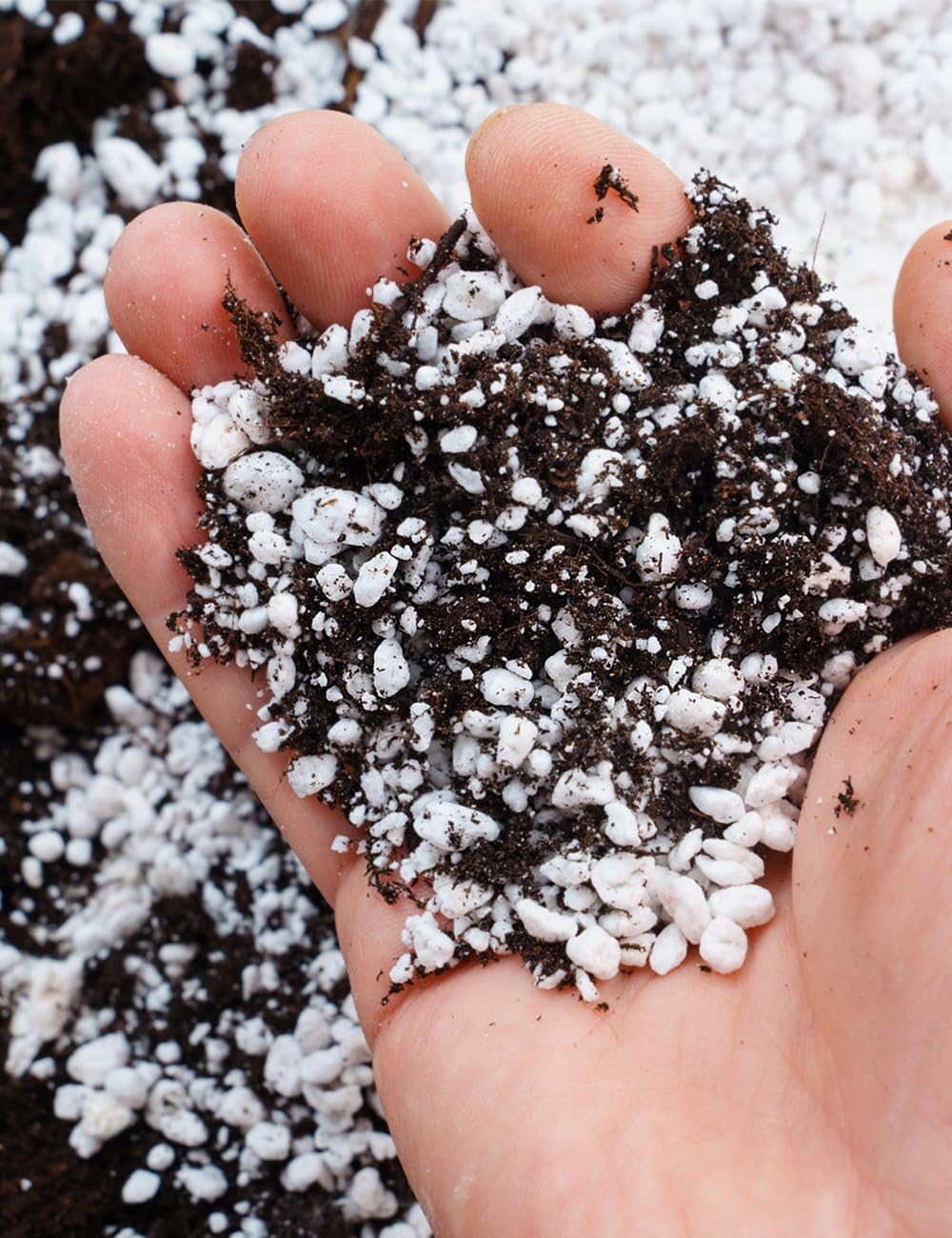 TOYPOPOR Perlite 3qt drainage improvement for containers supports ongoing potting success.