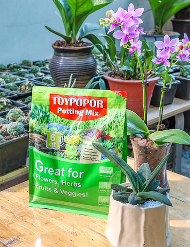 TOYPOPOR Perlite suitable for indoor-outdoor plant care.