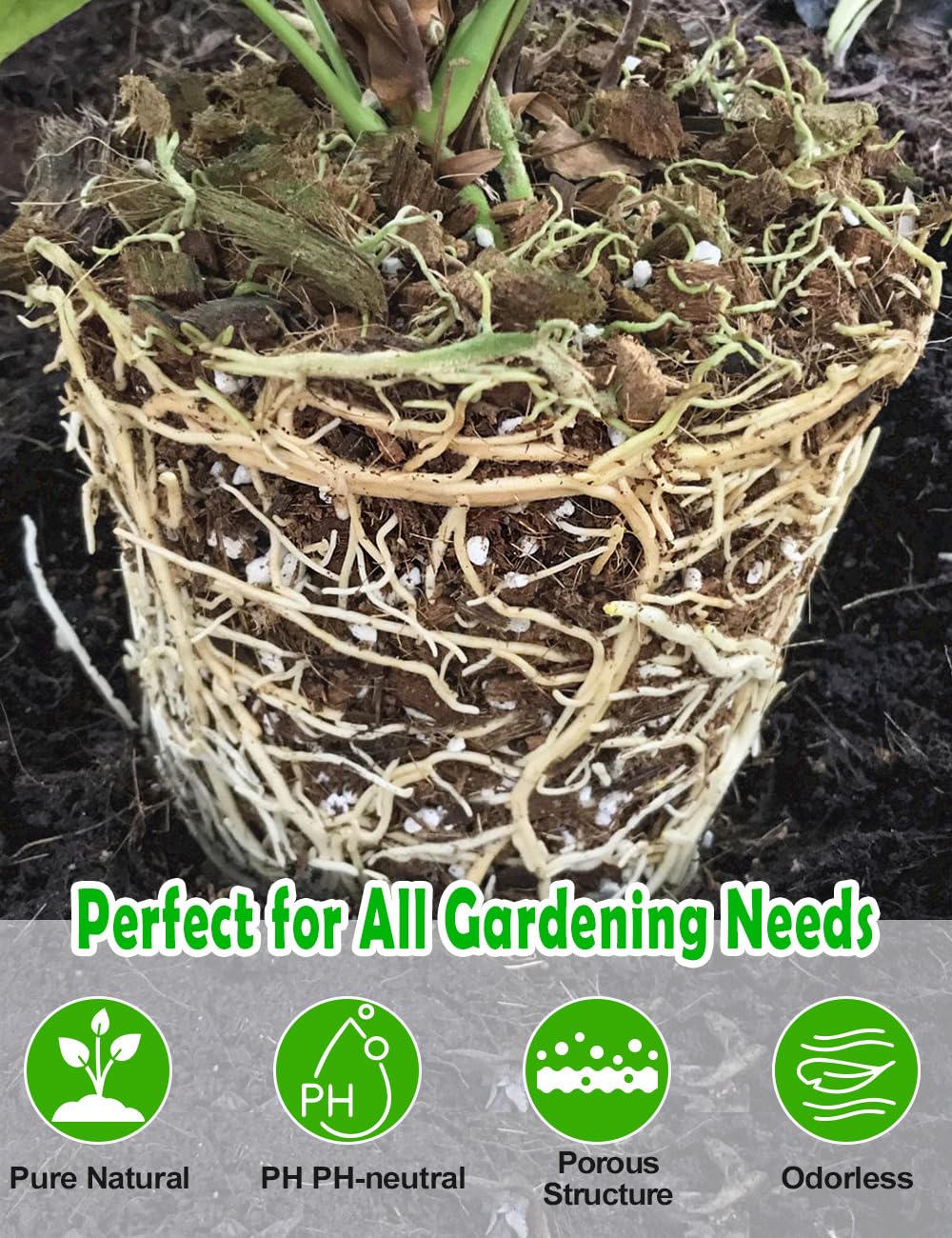 TOYPOPOR Perlite is a lightweight additive for potting soil.
