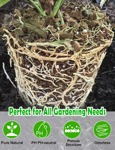 TOYPOPOR Perlite is a lightweight additive for potting soil.