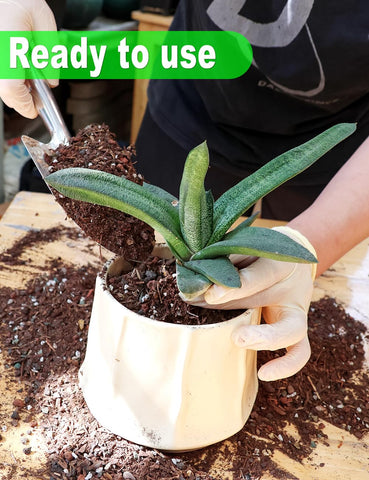 TOYPOPOR blend with perlite and sand delivers fast drainage to prevent soggy soil.