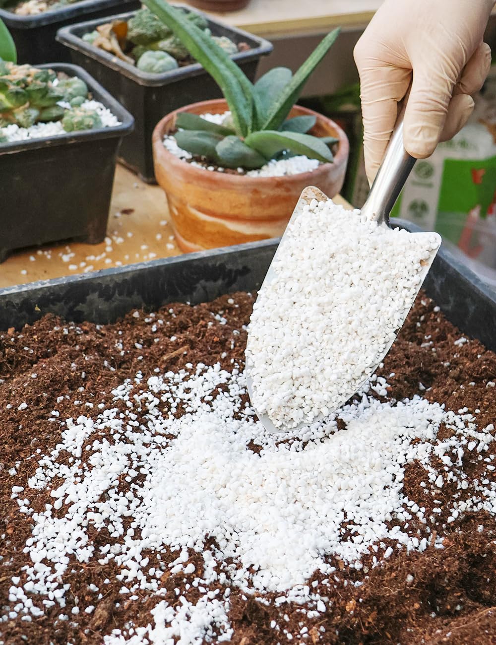 TOYPOPOR Perlite 3-6mm boosts soil aeration for healthier roots.