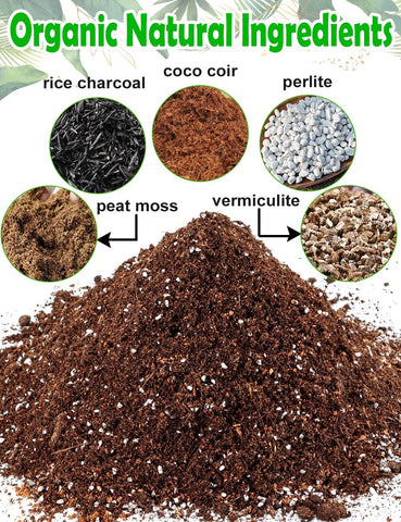 TOYPOPOR potting soil coco coir maintains moisture for healthy indoor plants.