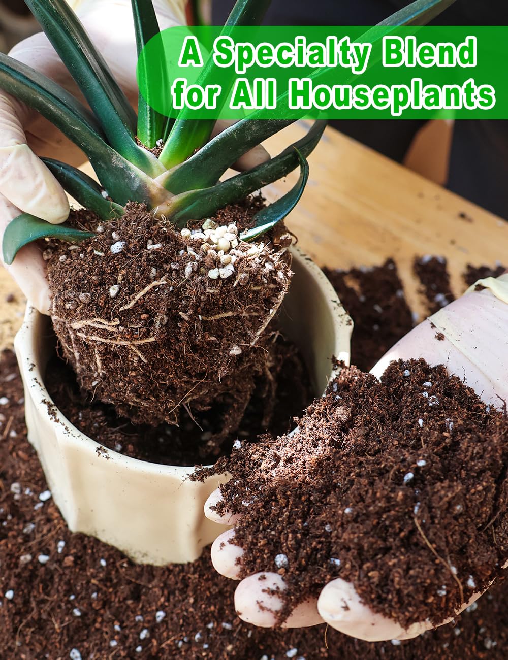 TOYPOPOR potting mix suitable for indoor and outdoor use on cacti and herbs.