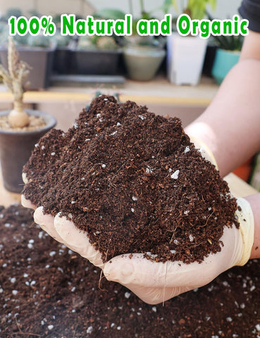TOYPOPOR potting soil with perlite drains excess water to protect roots.