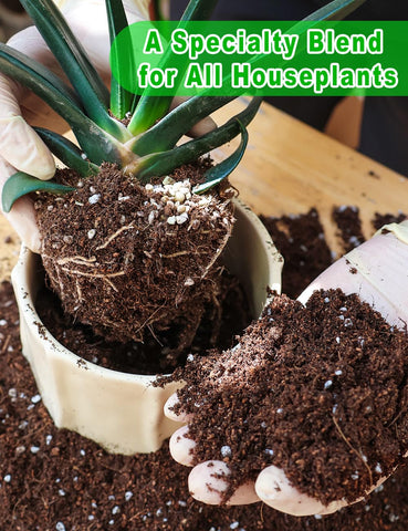 TOYPOPOR potting mix is PH-balanced for diverse indoor greenery.