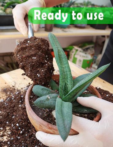 TOYPOPOR soil includes rice husk charcoal for better drainage and structure.