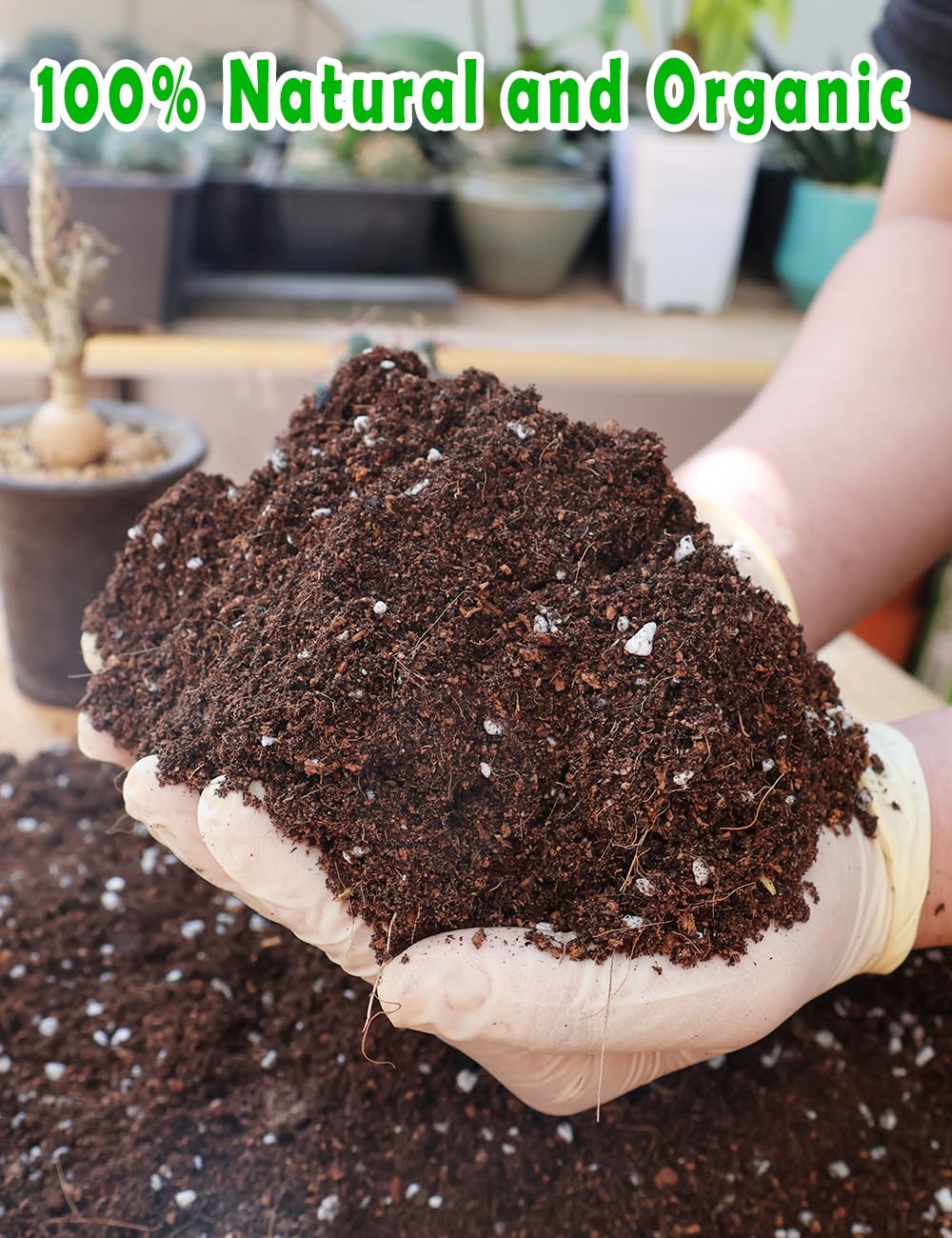 TOYPOPOR soil with well-draining texture prevents root rot and encourages oxygen access.
