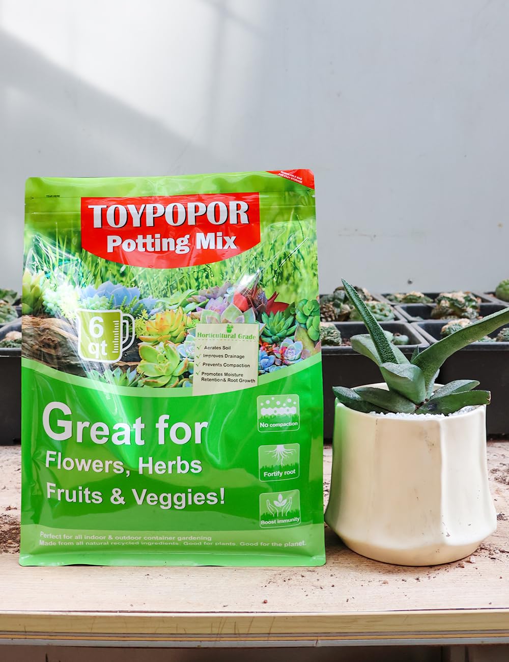 TOYPOPOR ready-to-use succulent soil supports versatile indoor gardening.