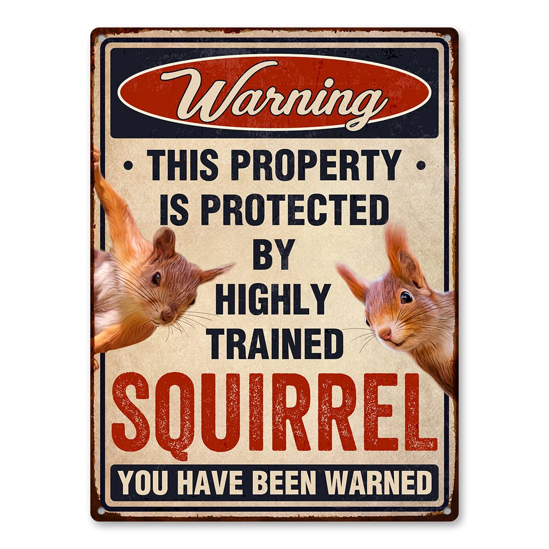 TP GLOBAL Funny Squirrels Sign front view highlights durable aluminum for indoor or outdoor use.