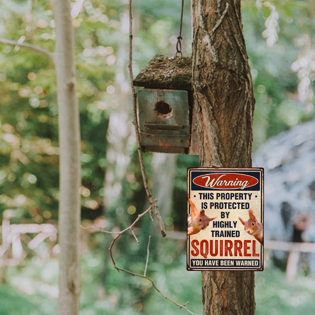 TP GLOBAL Funny Squirrels Sign rust-free aluminum prevents corrosion over time.