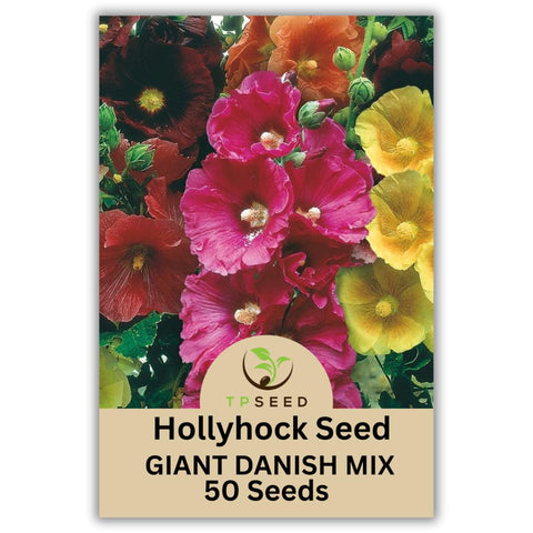 TP SEED Hollyhock Giant Danish Mix tall multi-color blooms enhance back borders.