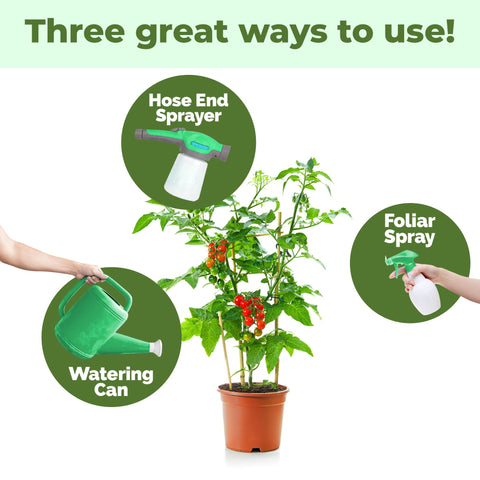 TPS NUTRIENTS 5-5-5 fertilizer leaves-closeup highlights steady growth and vibrant blooms.
