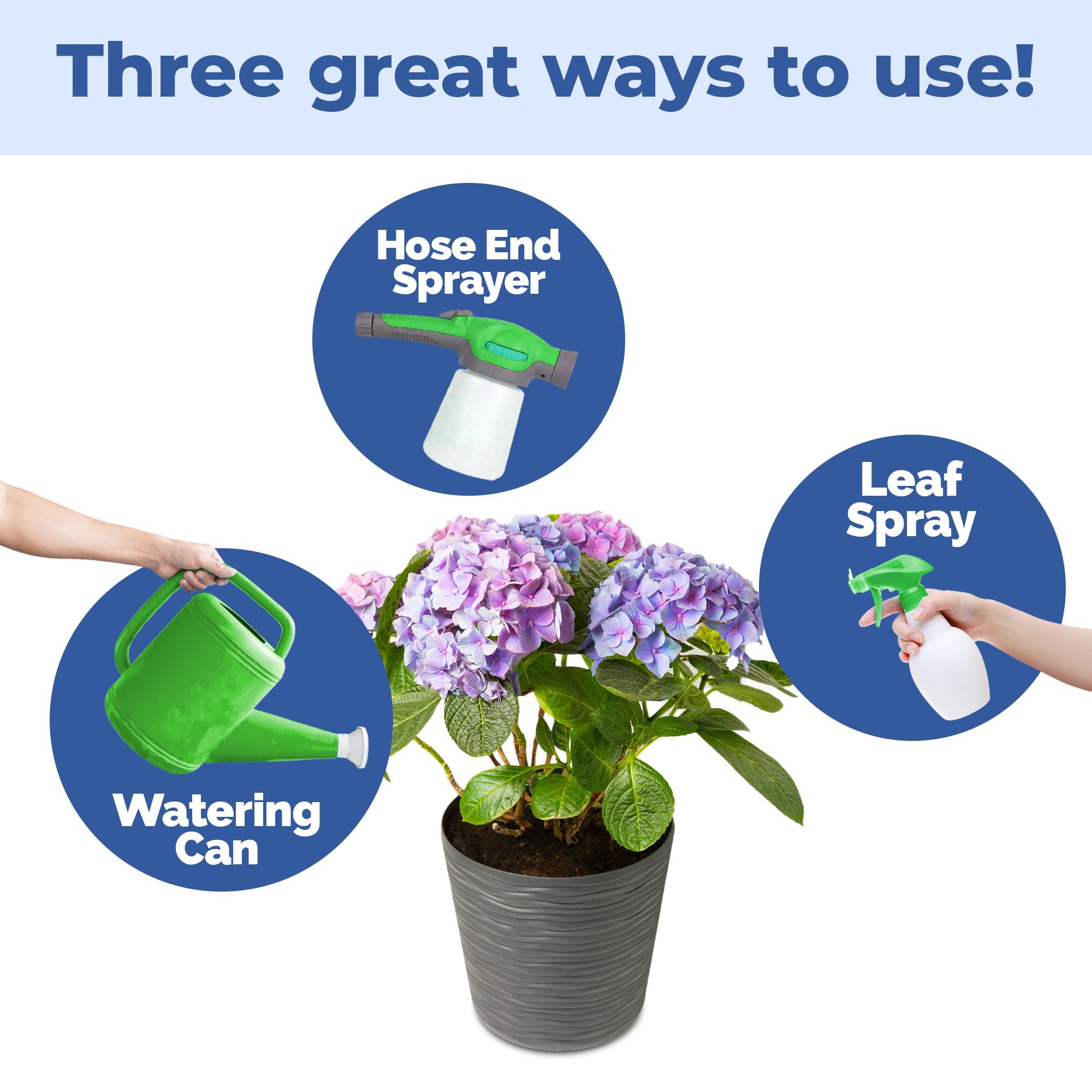 TPS NUTRIENTS Acidic Fertilizer helps lower soil pH for optimum uptake.