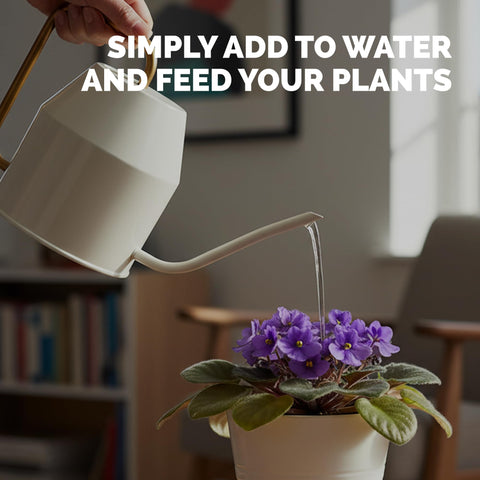 TPS NUTRIENTS Root development nourished by gentle nutrition.