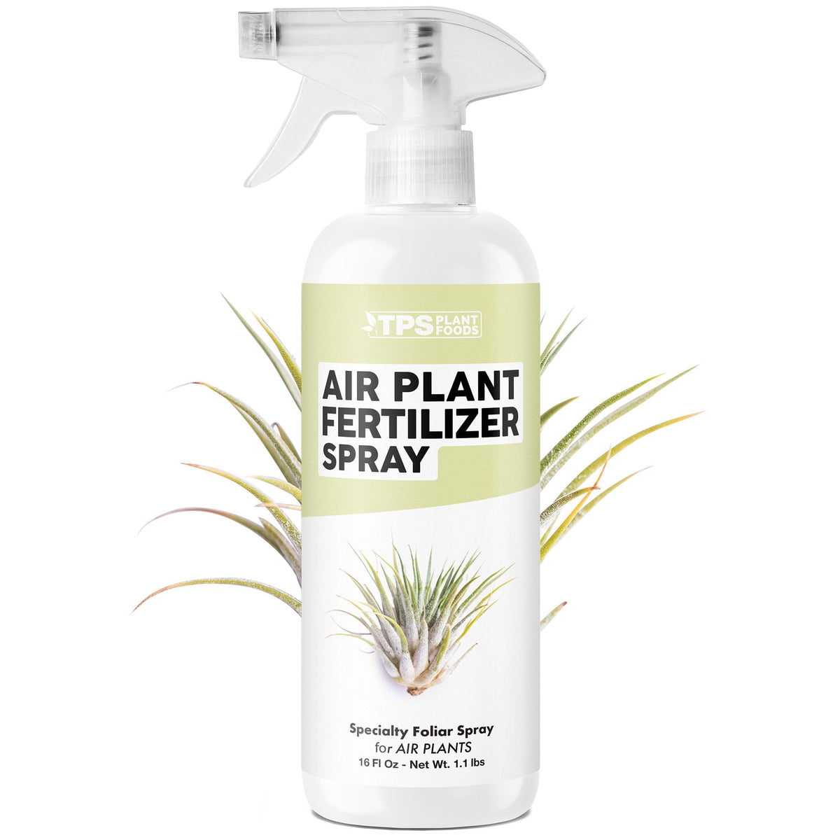 TPS NUTRIENTS air plant fertilizer spray bottle ready for a quick mist