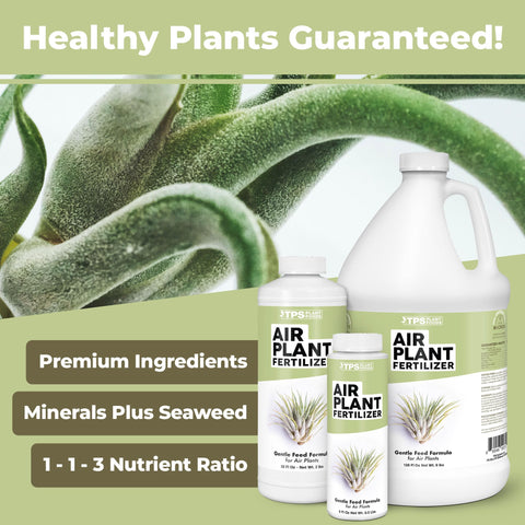 TPS NUTRIENTS foliar spray application for Tillandsia care boosts nutrient uptake.