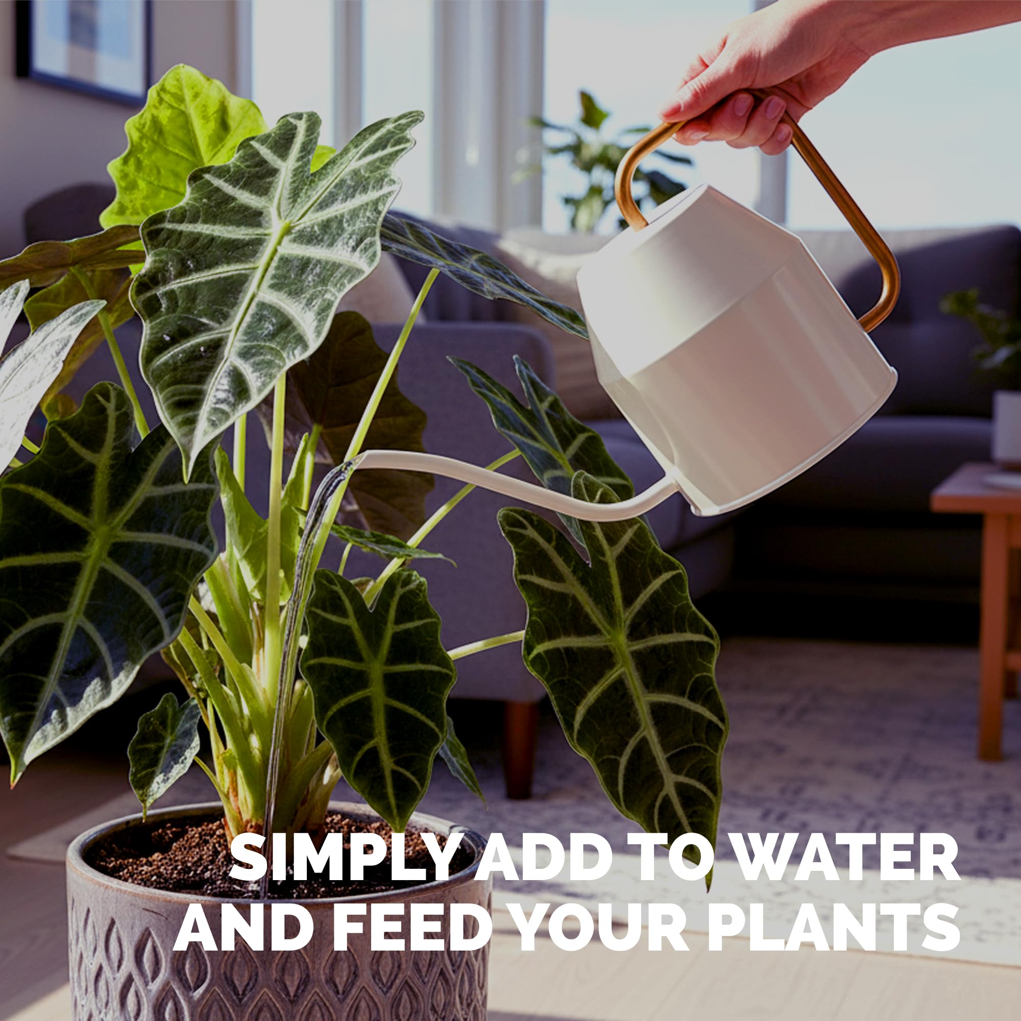 TPS NUTRIENTS Alocasia Fertilizer ideal for indoor container growing