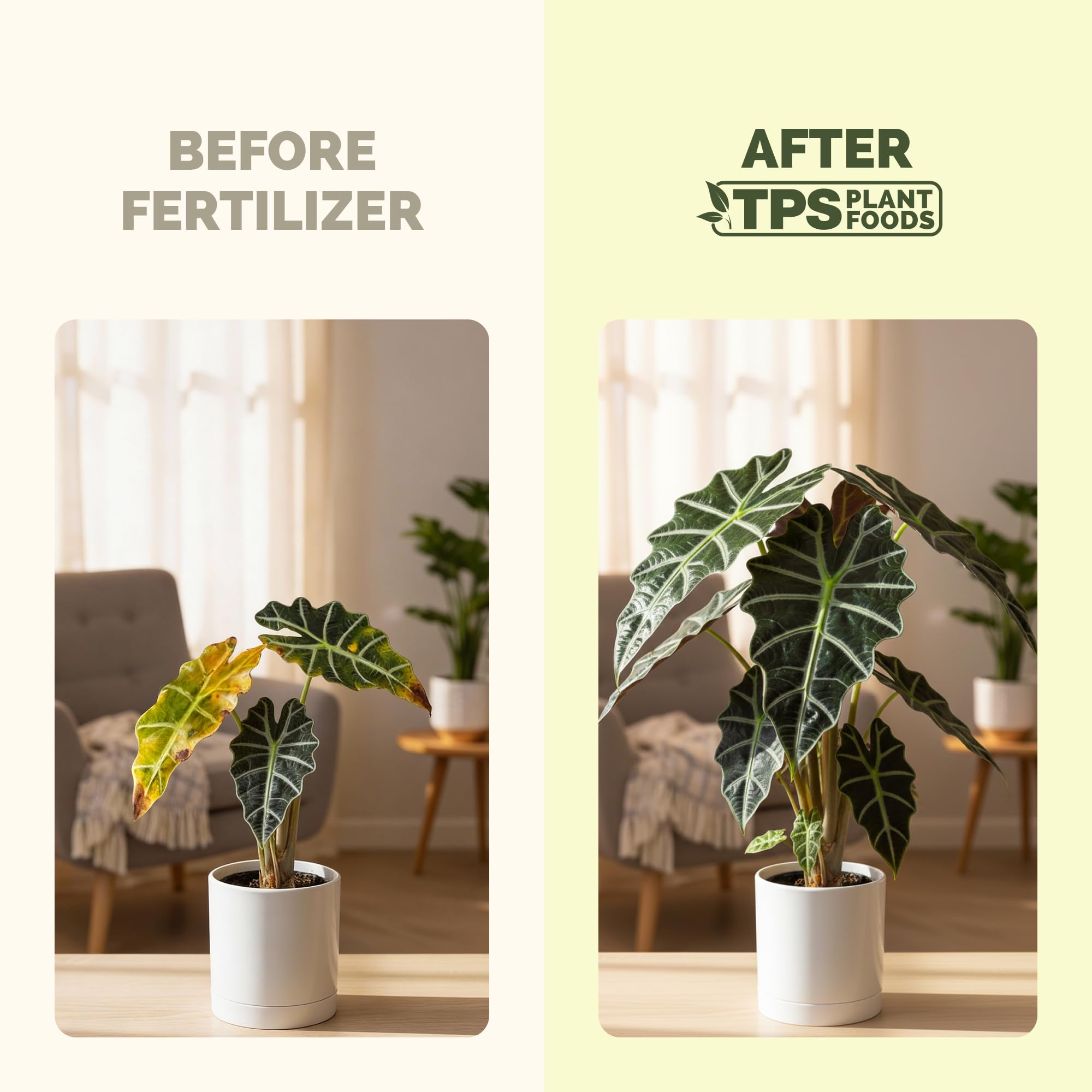 TPS NUTRIENTS Alocasia Fertilizer strengthens stems for sturdy indoor plants