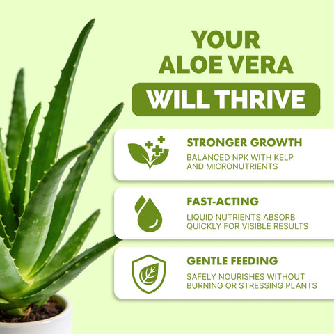 TPS NUTRIENTS Aloe Fertilizer pour demonstrates controlled feeding for succulents.