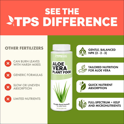 TPS NUTRIENTS Aloe-plants healthy-leaves shows leaves with firm, vibrant shape.