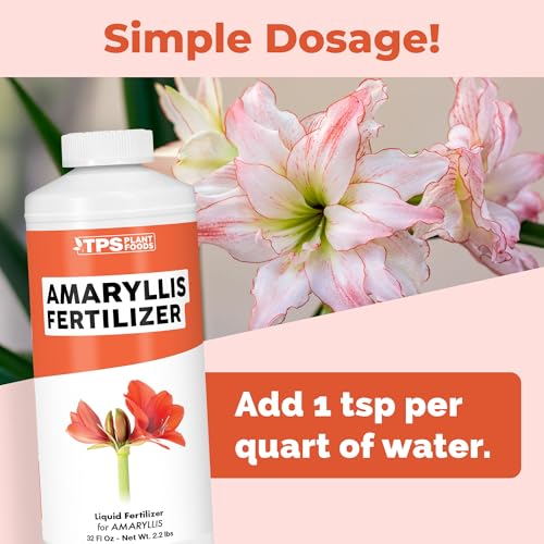 TPS NUTRIENTS Amaryllis Fertilizer in a bloom display with vibrant color.