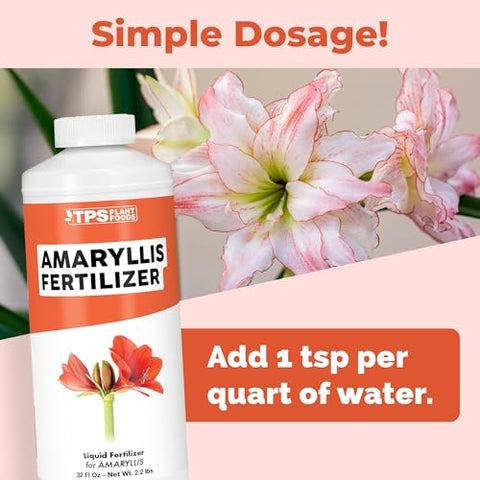 TPS NUTRIENTS Amaryllis Fertilizer in a bloom display with vibrant color.