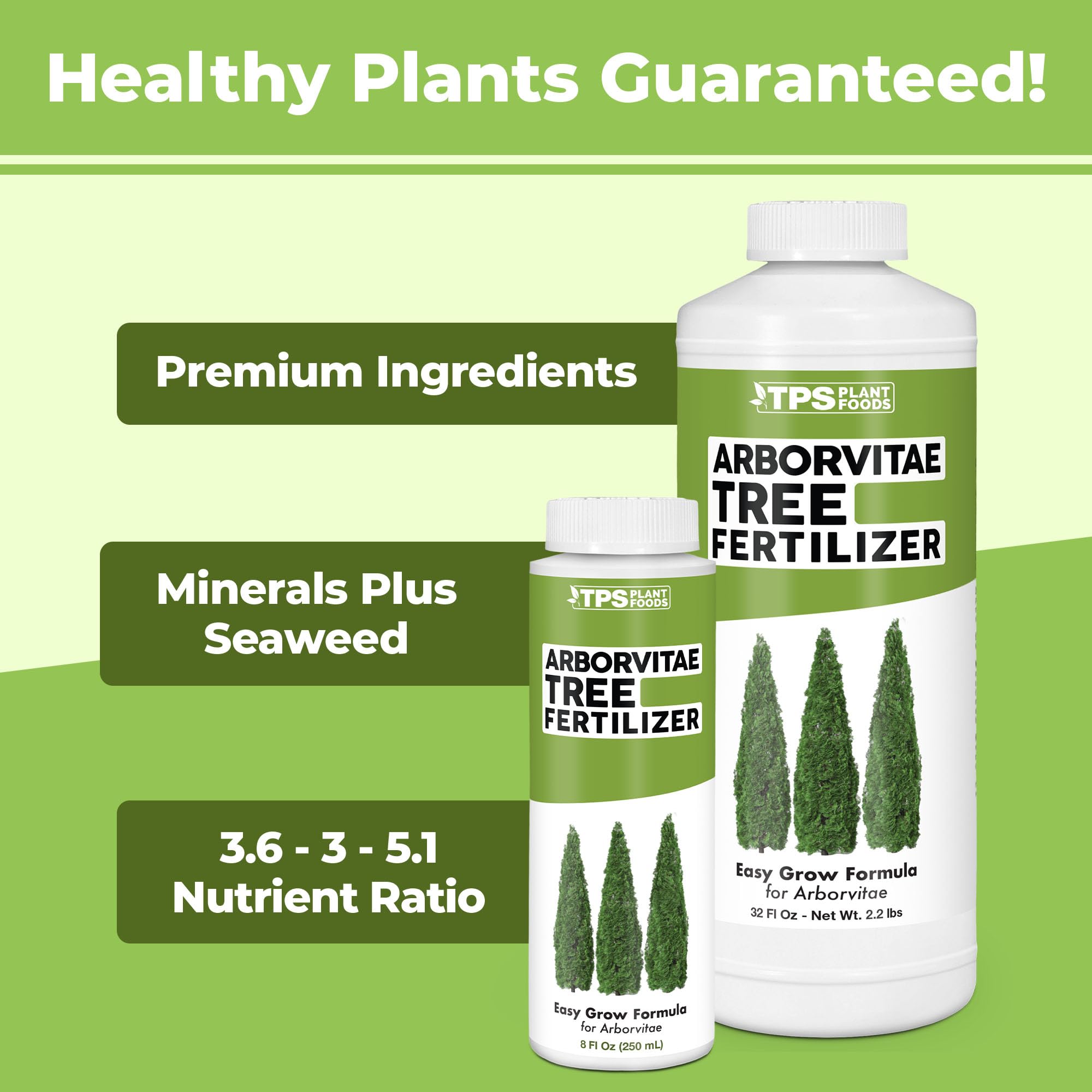 TPS NUTRIENTS Arborvitae dense foliage hedge shows lush privacy screen.