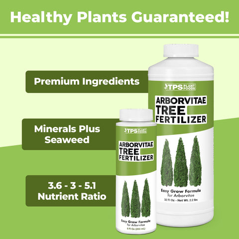 TPS NUTRIENTS Arborvitae dense foliage highlights vibrant evergreen coverage.