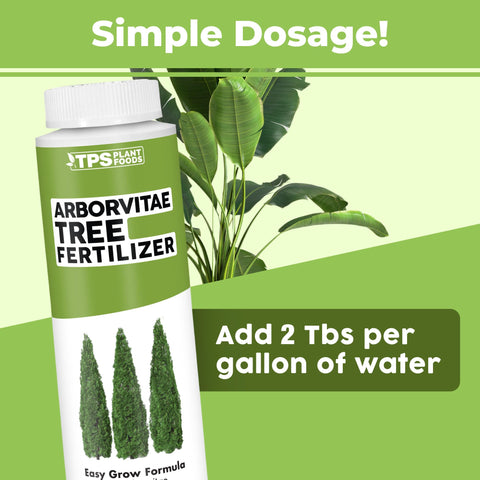 TPS NUTRIENTS Arborvitae root development shows stronger root systems with balanced feeding.