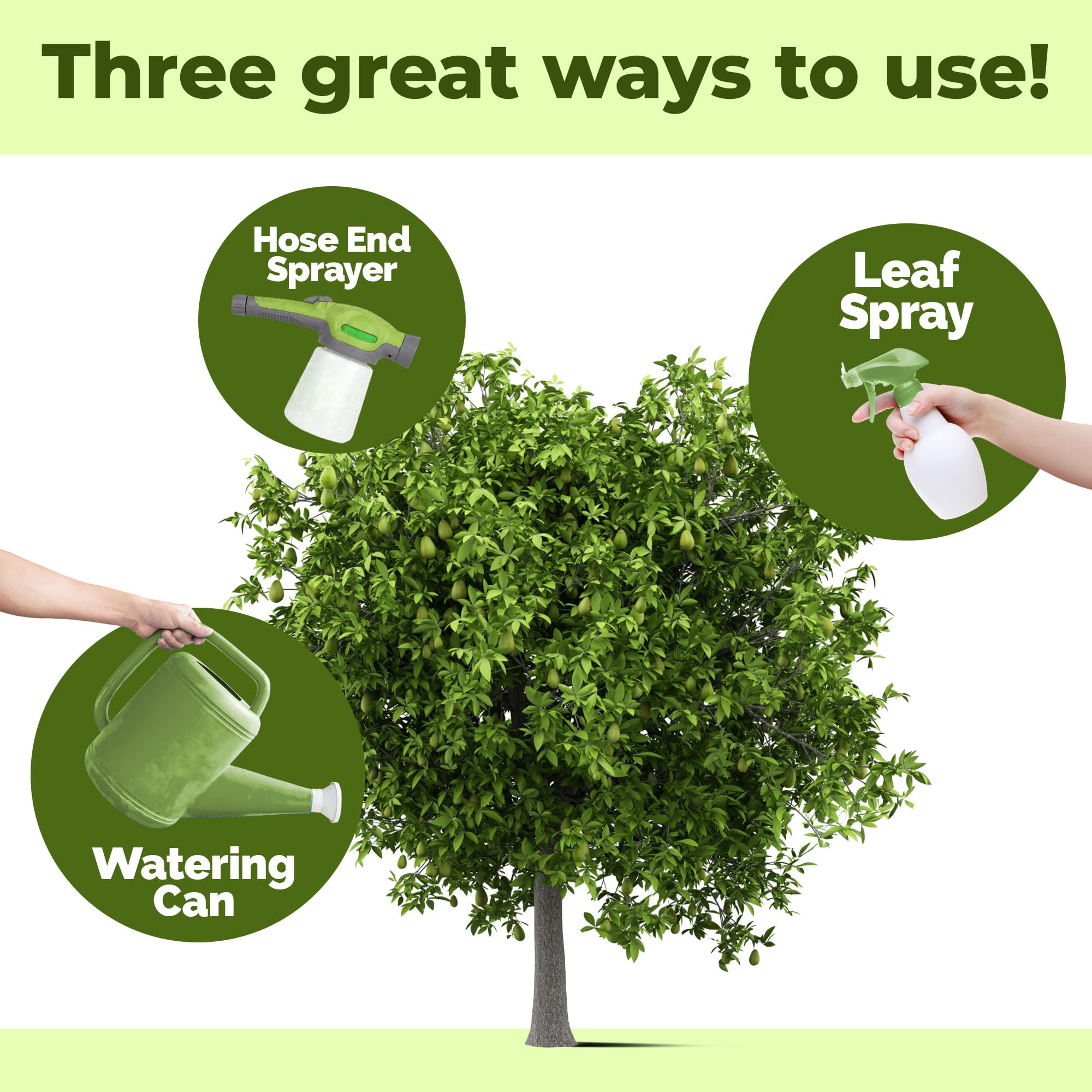 TPS NUTRIENTS Avocado fertilizer on a healthy potted tree with vibrant leaves