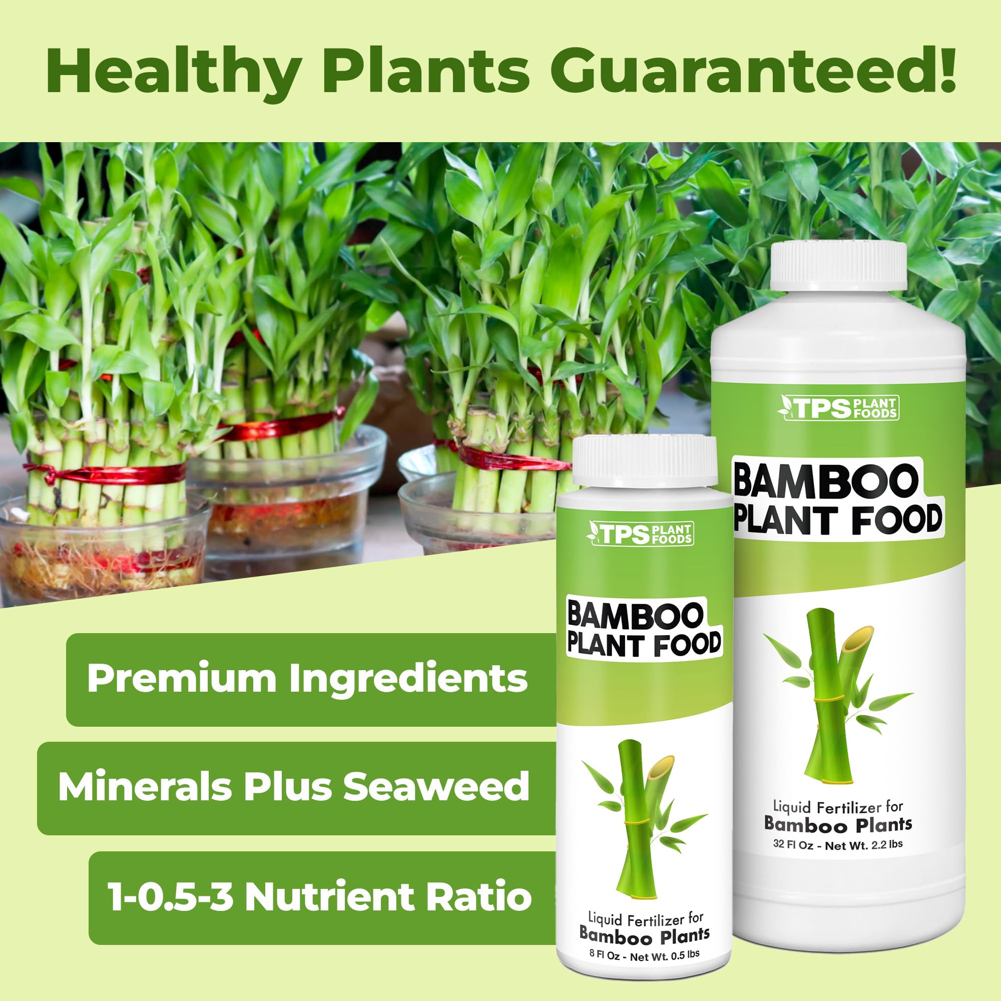 TPS NUTRIENTS Bamboo Plant Food promotes dense green leaves after feeding