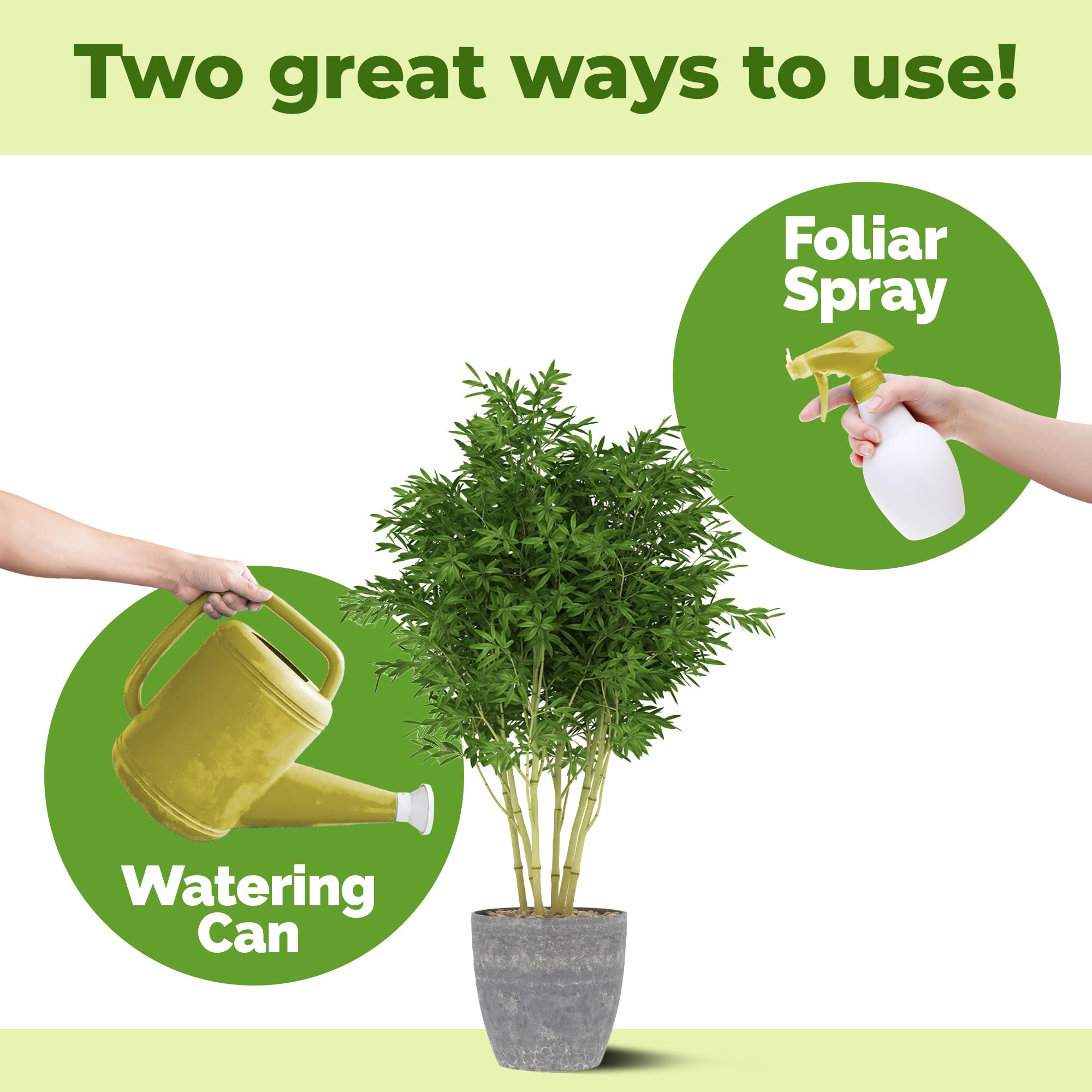 TPS NUTRIENTS Bamboo Plant Food liquid formula blends with water for even uptake