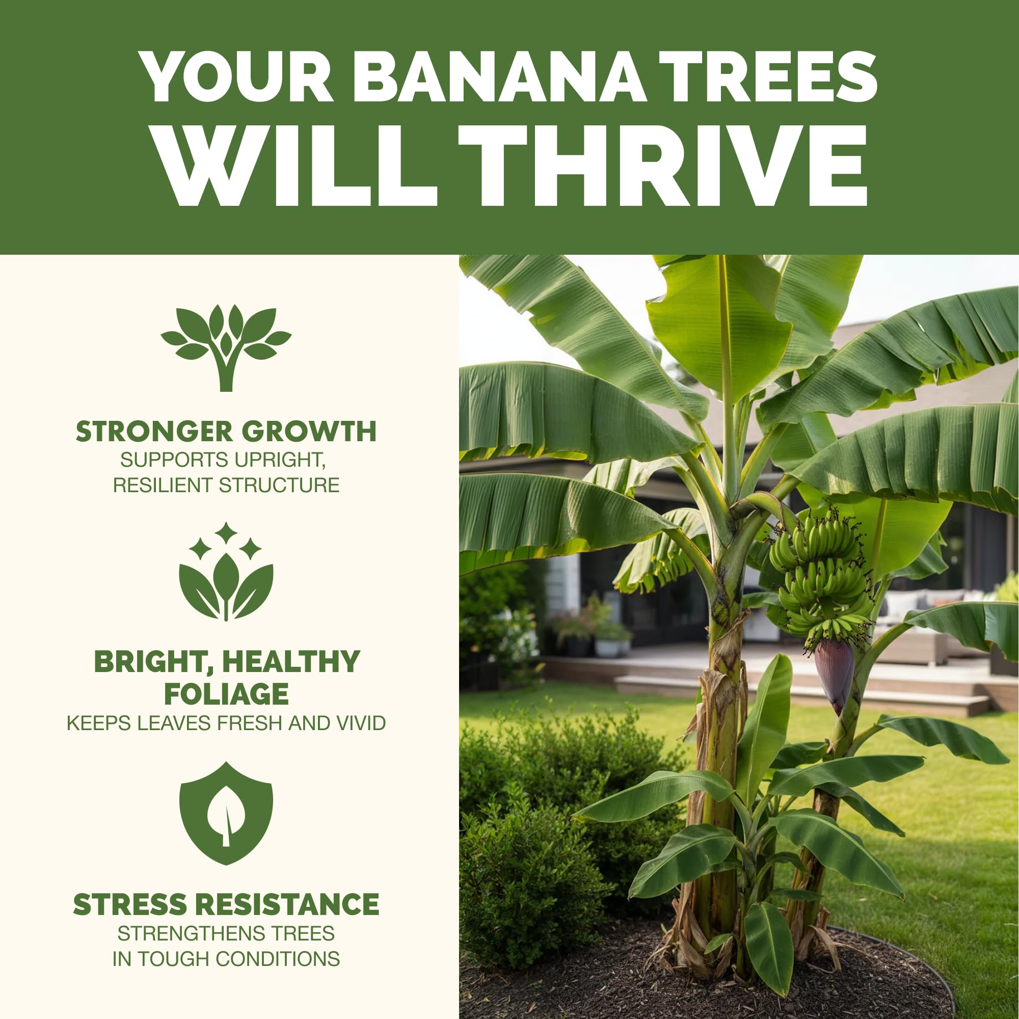 TPS NUTRIENTS Banana Tree Fertilizer label explains ingredients and usage for easy feeding