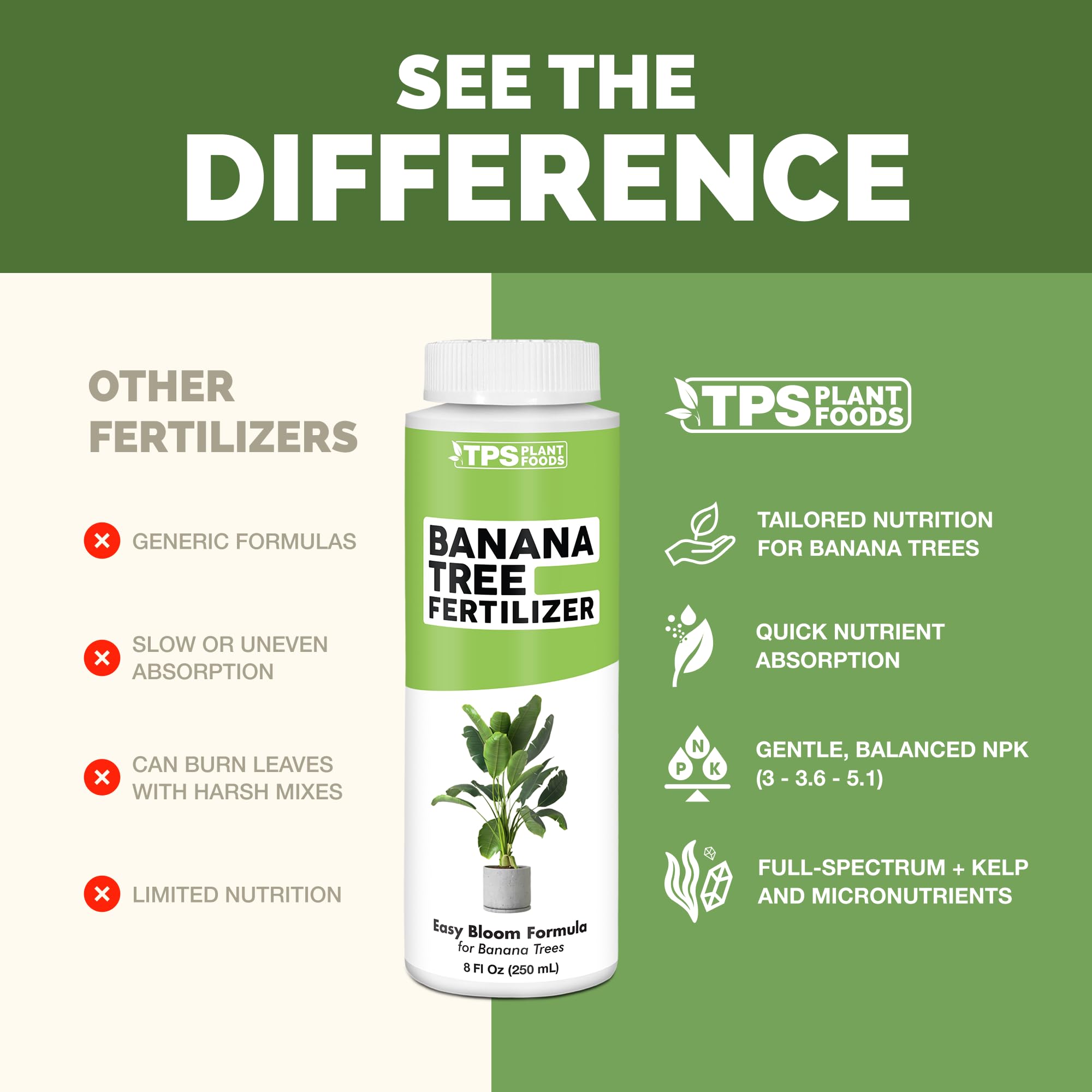 Healthy banana tree foliage after TPS NUTRIENTS application shows vibrant leaves.