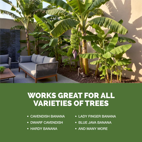 TPS NUTRIENTS Banana Tree Fertilizer soil-application demonstrates simple root feeding