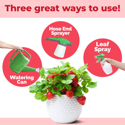 TPS NUTRIENTS Berry Fertilizer supports strong roots and resilient plants.