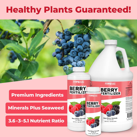 TPS NUTRIENTS Berry Fertilizer pour demonstrates easy application and quick coverage.