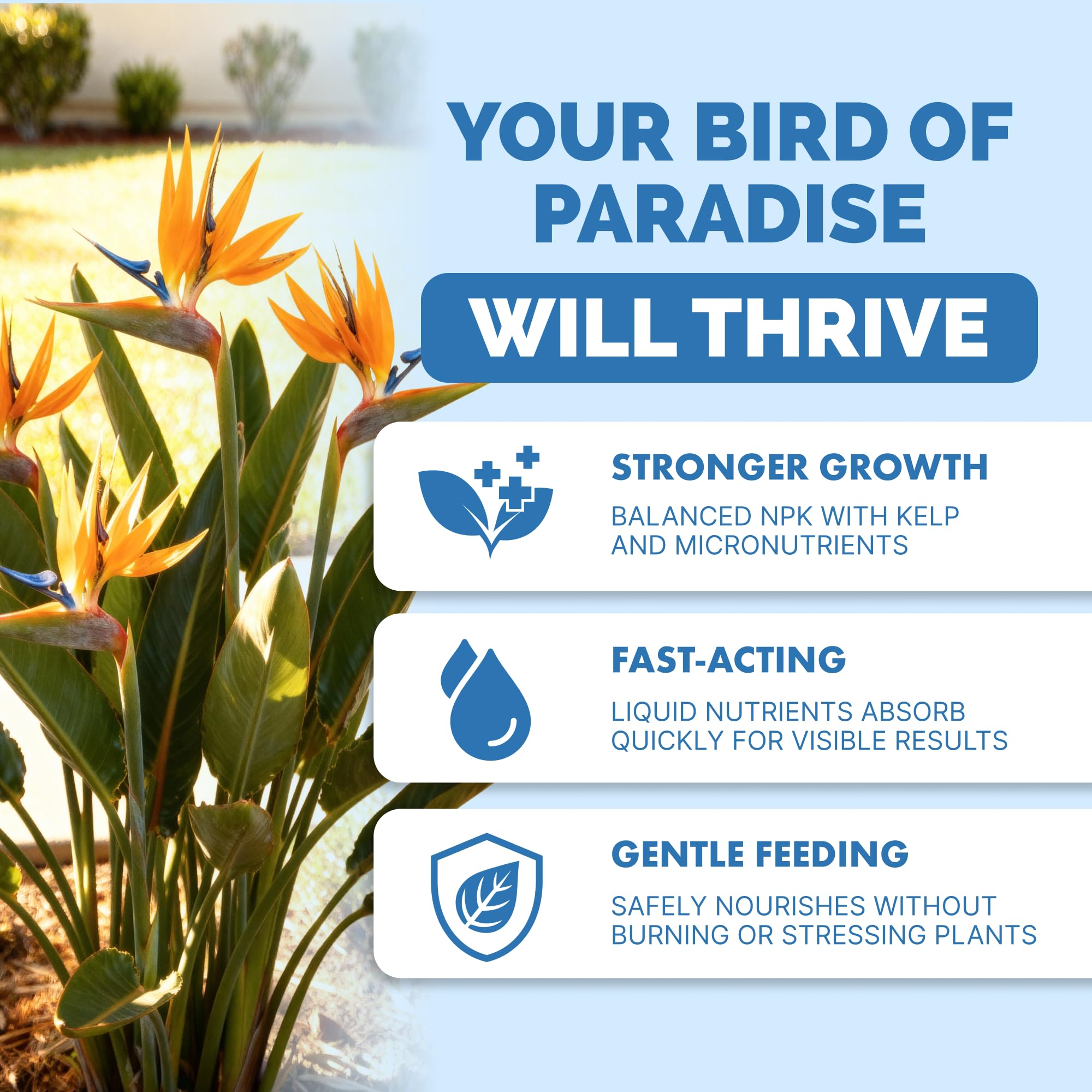 TPS NUTRIENTS Bird of Paradise fertilizer label closeup showing balanced nutrients