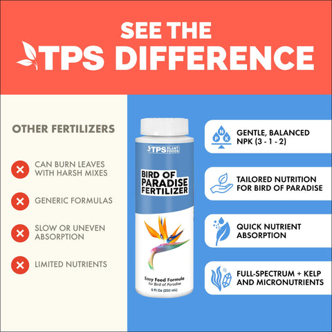 TPS NUTRIENTS Bird of Paradise fertilizer indoor pot supports steady healthy growth.