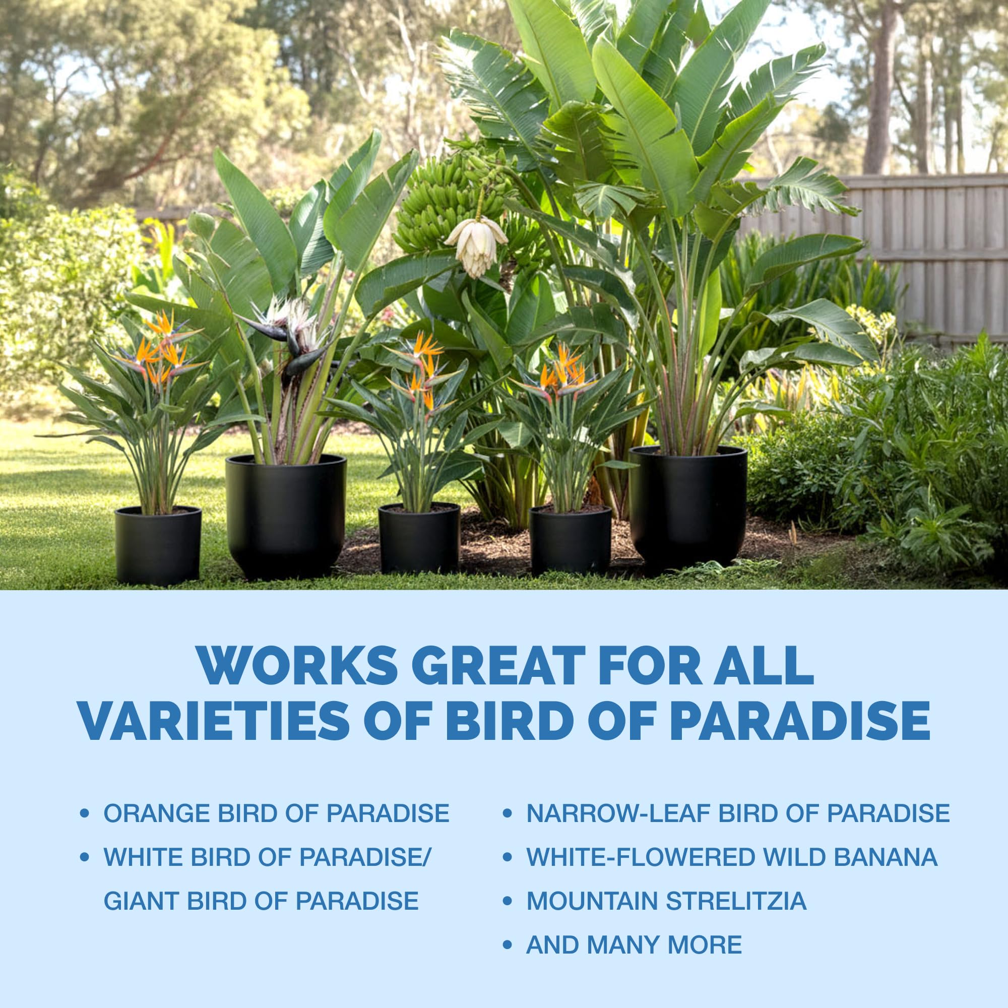 TPS NUTRIENTS Bird of Paradise fertilizer USA-made quality label.