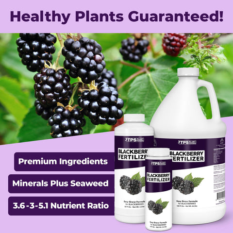 TPS NUTRIENTS Blackberry Fertilizer bottle highlighting lush blooms for robust fruit set