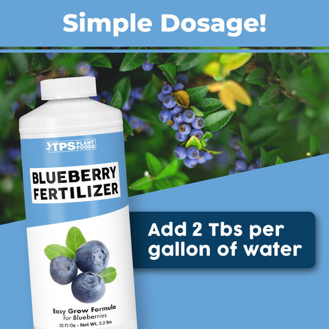 TPS Nutrients Blueberry Fertilizer on a blueberry bush illustrates healthy growth and vibrant leaves.