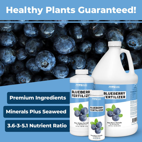 TPS NUTRIENTS Blueberry Fertilizer pour demonstrates easy, even feeding for fruiting plants.