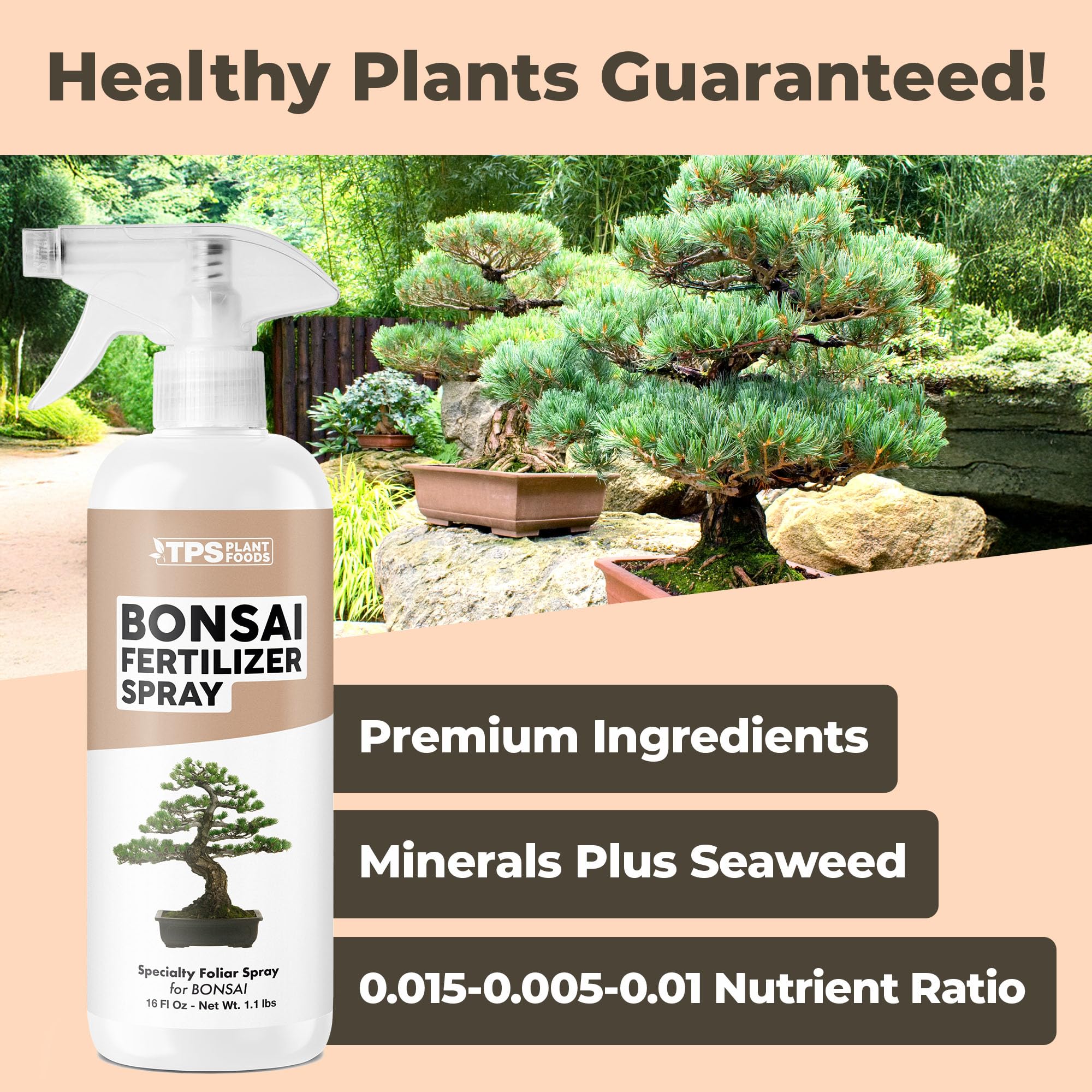 Bonsai leaves receiving TPS NUTRIENTS spray for nourished foliage and color.