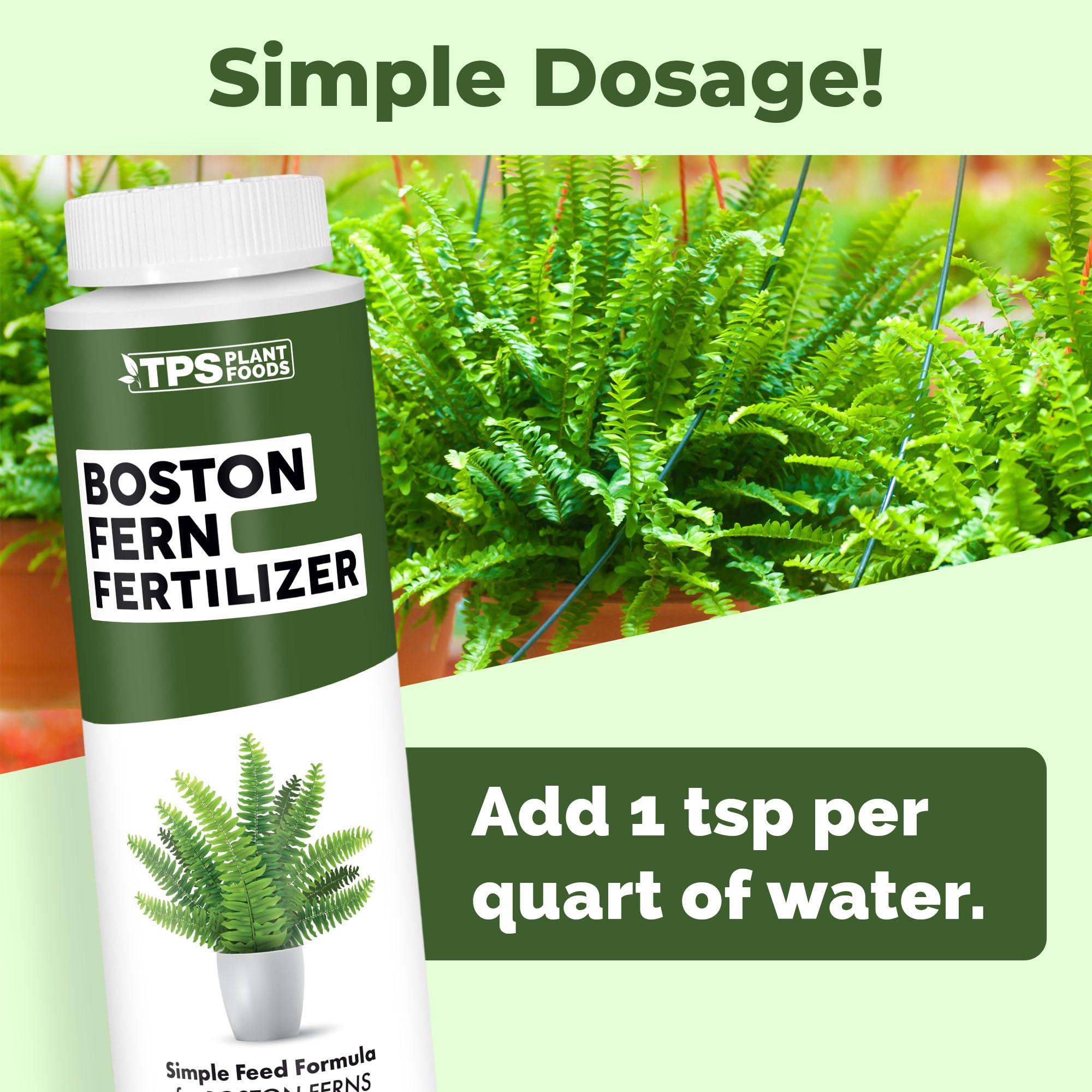 TPS Nutrients Boston Fern leaf closeup shows vibrant green foliage.