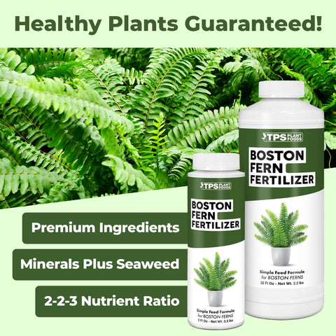 TPS Nutrients Boston Fern Fertilizer liquid dosing demonstrates easy application.